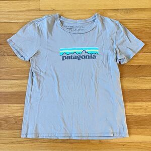 Patagonia Grey Cotton Gorpcore P-6 Logo Organic Crew T-Shirt XS Extra Small